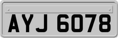 AYJ6078