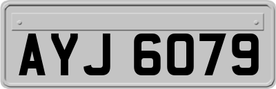 AYJ6079