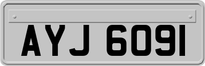 AYJ6091