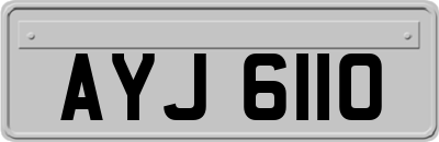 AYJ6110