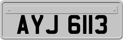 AYJ6113