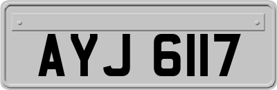 AYJ6117