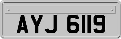 AYJ6119