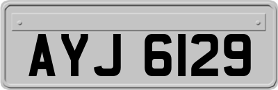 AYJ6129