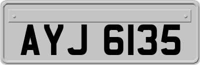 AYJ6135