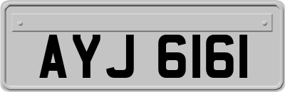 AYJ6161