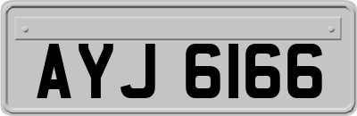 AYJ6166
