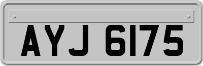 AYJ6175