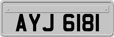 AYJ6181