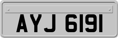 AYJ6191
