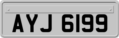 AYJ6199