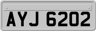 AYJ6202