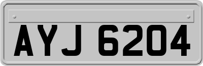 AYJ6204