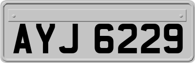 AYJ6229