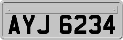 AYJ6234
