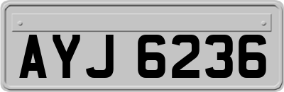 AYJ6236
