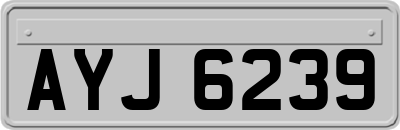 AYJ6239