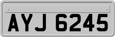 AYJ6245