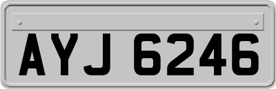 AYJ6246
