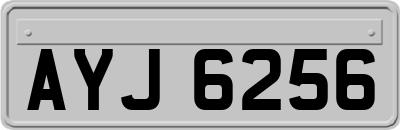AYJ6256