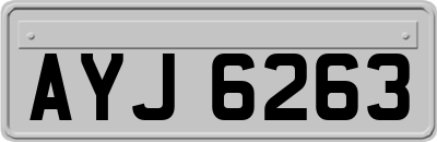 AYJ6263