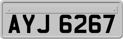 AYJ6267