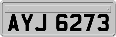 AYJ6273