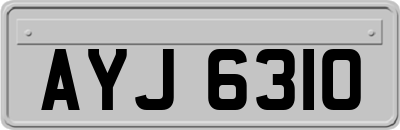 AYJ6310