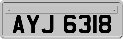 AYJ6318