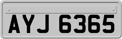 AYJ6365