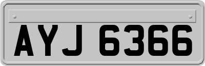 AYJ6366