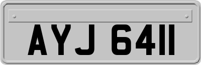 AYJ6411