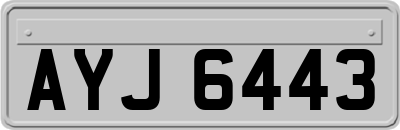 AYJ6443