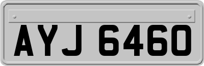 AYJ6460