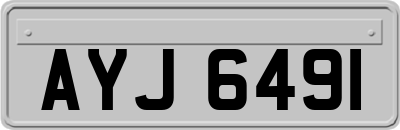AYJ6491