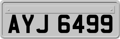 AYJ6499