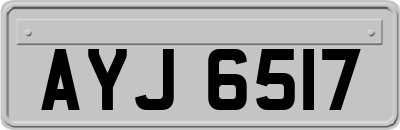 AYJ6517