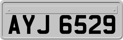 AYJ6529