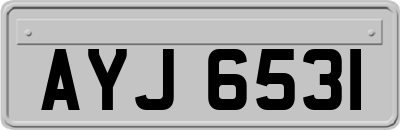 AYJ6531