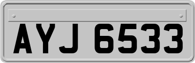 AYJ6533