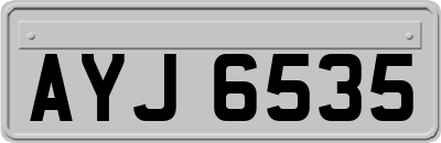 AYJ6535