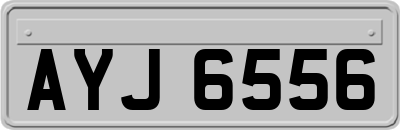 AYJ6556
