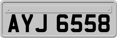 AYJ6558
