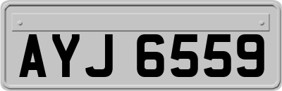 AYJ6559
