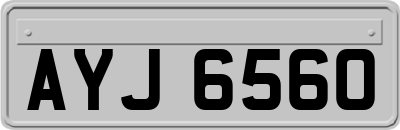 AYJ6560