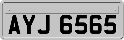 AYJ6565