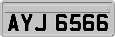 AYJ6566
