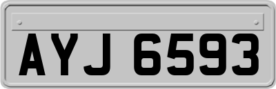 AYJ6593