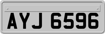 AYJ6596