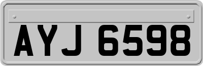 AYJ6598